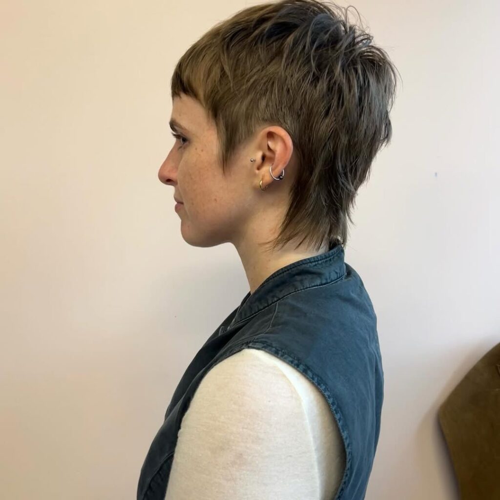 Straight Sleek Pixie
